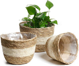 GEEDIAR Seagrass Planter Basket - Set of 3 Hand Woven Basket Indoor Outdoor Storage Flower Pot Cover