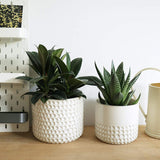 GEEDIAR Ceramic Planter Flower Plant Pots- 6.7+5.5 Inch Concave Dot Patterned Cylinder Flower Pot