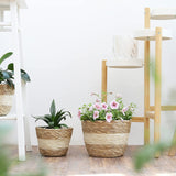GEEDIAR Seagrass Planter Basket - Set of 3 Hand Woven Basket Indoor Outdoor Storage Flower Pot Cover